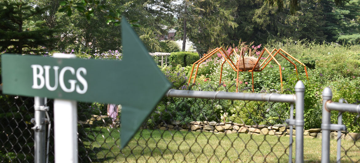 "Daddy Long Legs" in David Rogers's "Big Bugs" at Green Animals Topiary Garden, Portsmouth, Rhode Island, August 2021. (©Greg Cook photo)