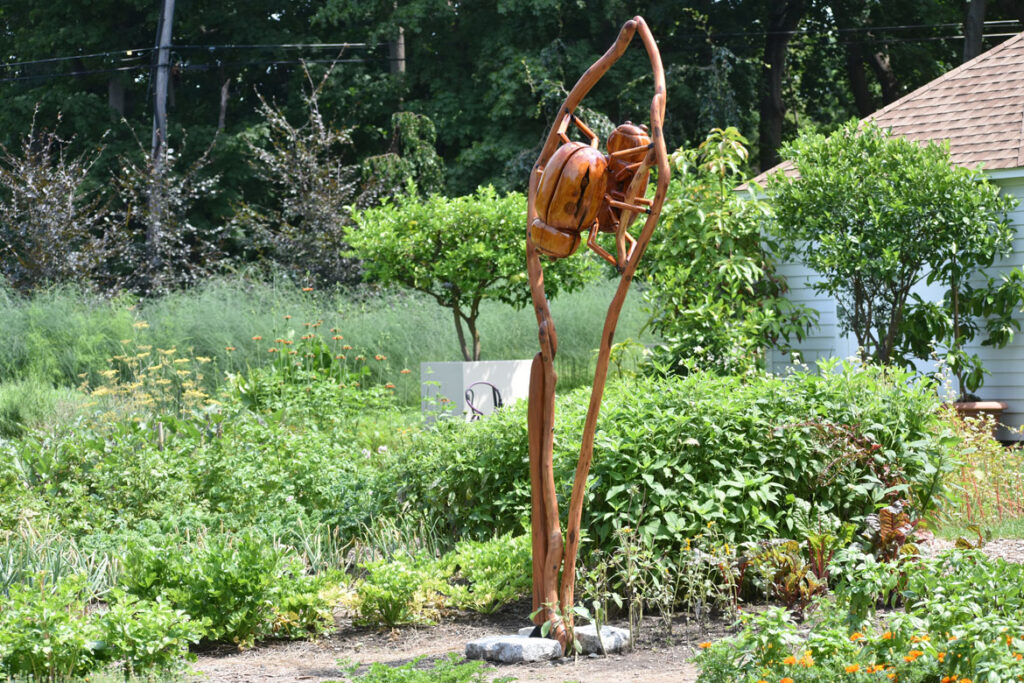 "Ladybugs" in David Rogers's "Big Bugs" at Green Animals Topiary Garden, Portsmouth, Rhode Island, August 2021. (©Greg Cook photo)