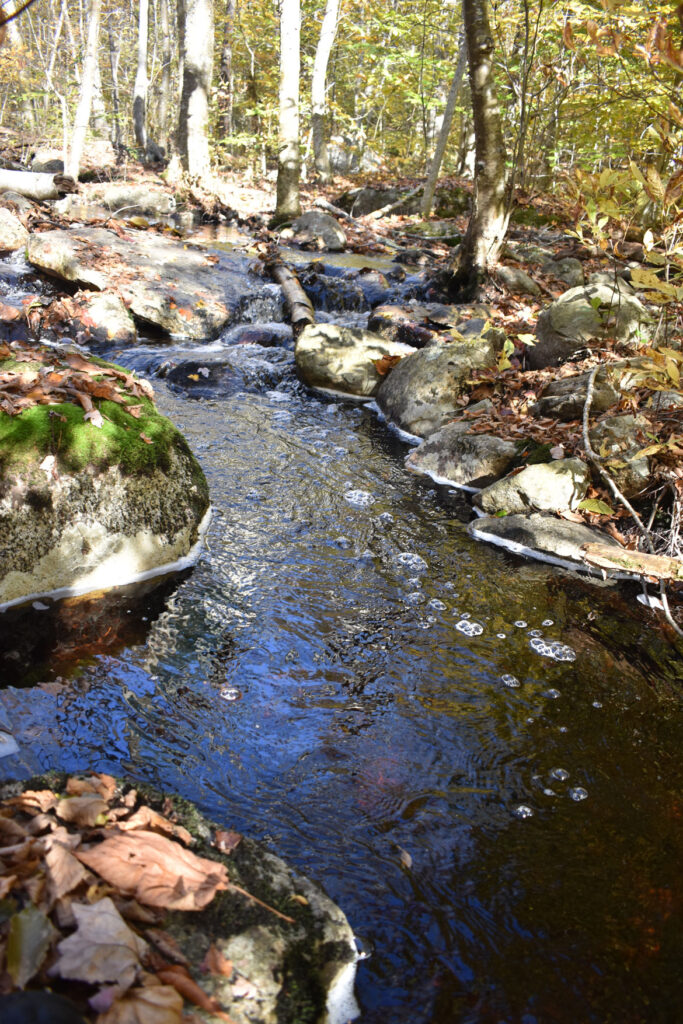 Creek in Gloucester's Dogtown woods, Nov. 6, 2021. (©Greg Cook photo)