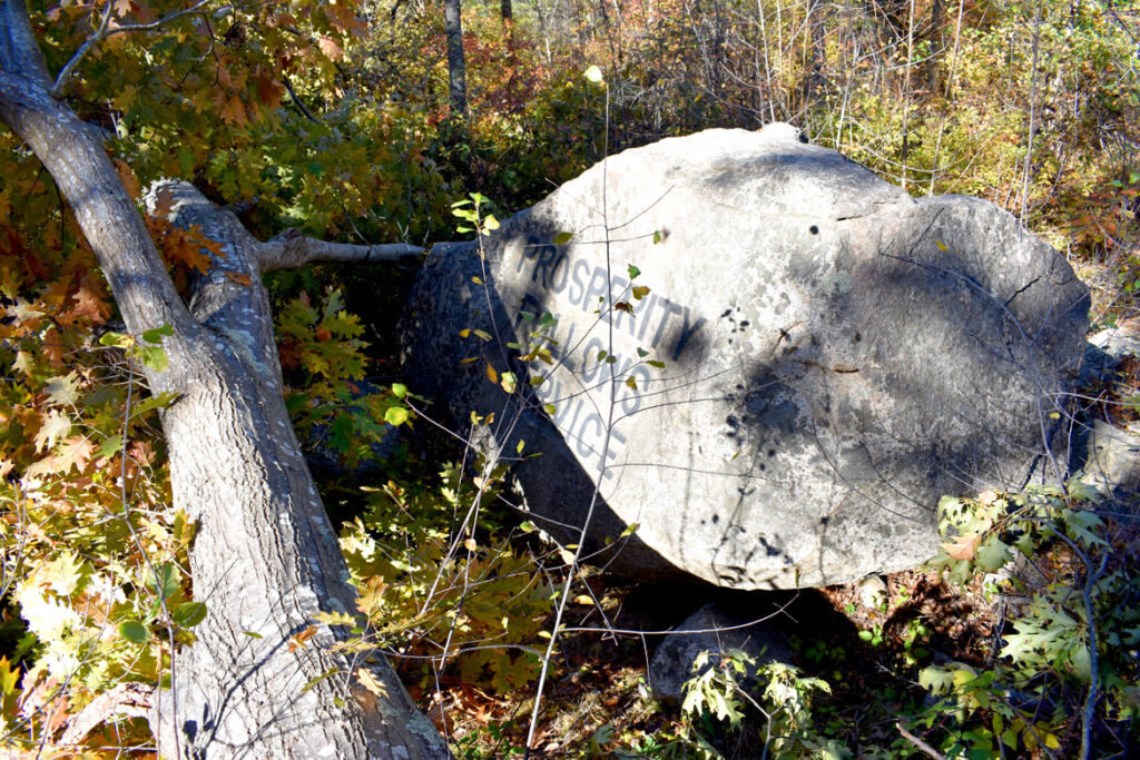 Prosperity Follows Service boulder in Gloucester's Dogtown woods, Nov. 6, 2021. (©Greg Cook photo)