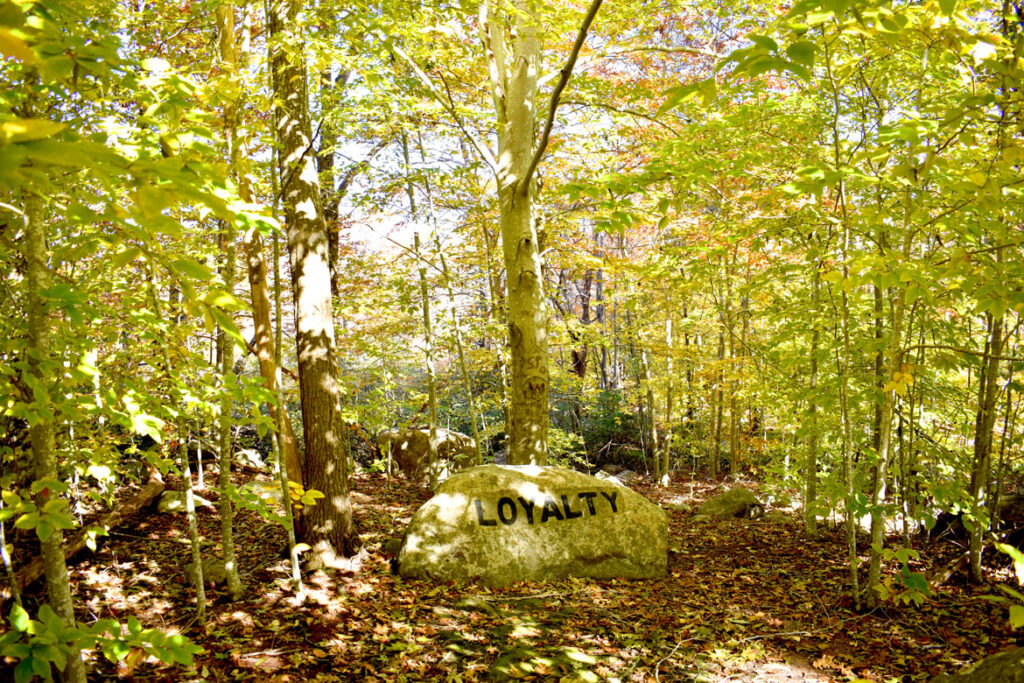 Loyalty boulder in Gloucester's Dogtown woods, Nov. 6, 2021. (©Greg Cook photo)