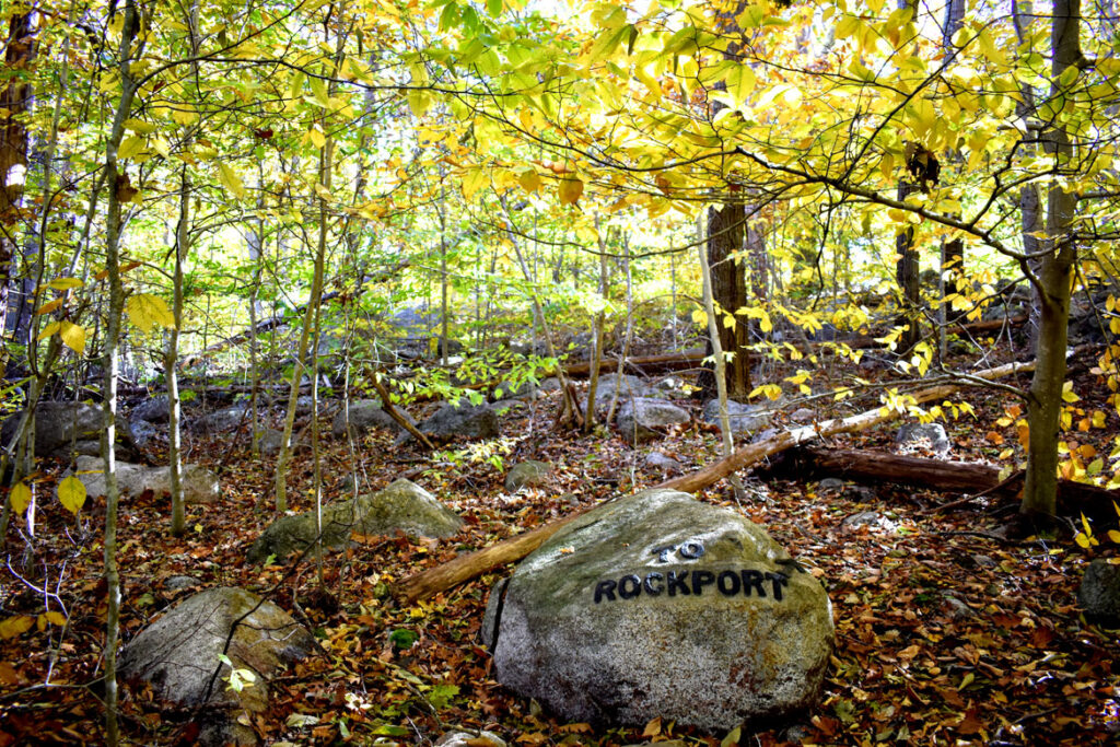 To Rockport boulder in Gloucester's Dogtown woods, Nov. 6, 2021. (©Greg Cook photo)