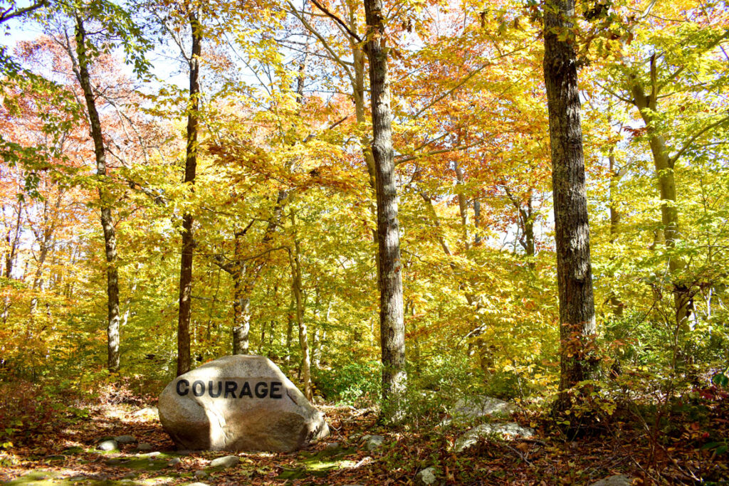 Courage boulder in Gloucester's Dogtown woods, Nov. 6, 2021. (©Greg Cook photo)
