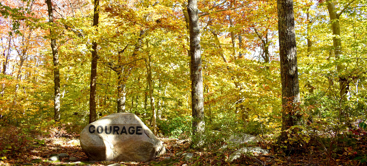 Courage boulder in Gloucester's Dogtown woods, Nov. 6, 2021. (©Greg Cook photo)