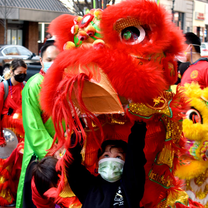 Lions from Wah Lum Kung Fu & Tai Chi Academy dance in Malden to celebrate the Lunar New Year, Feb 12, 2022. (©Greg Cook photo)