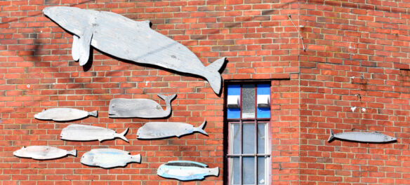 Whales signs at the Pilot House, Gloucester, Massachusetts, March 11, 2022. (©Greg Cook photo)