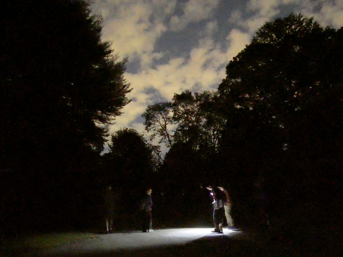 Looking and listening for bats at Cambridge's Mount Auburn Cemetery, Sept. 20, 2023. (©Greg Cook photo)