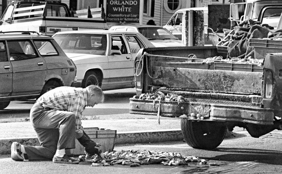 "Yesterday on the corner of Rogers & Main St. this man's fish slipped off his truck. He spent some time picking up the slimy things." Photograph by Amy Sweeney. In "Above the Fold" at the Cape Ann Museum, 2023.