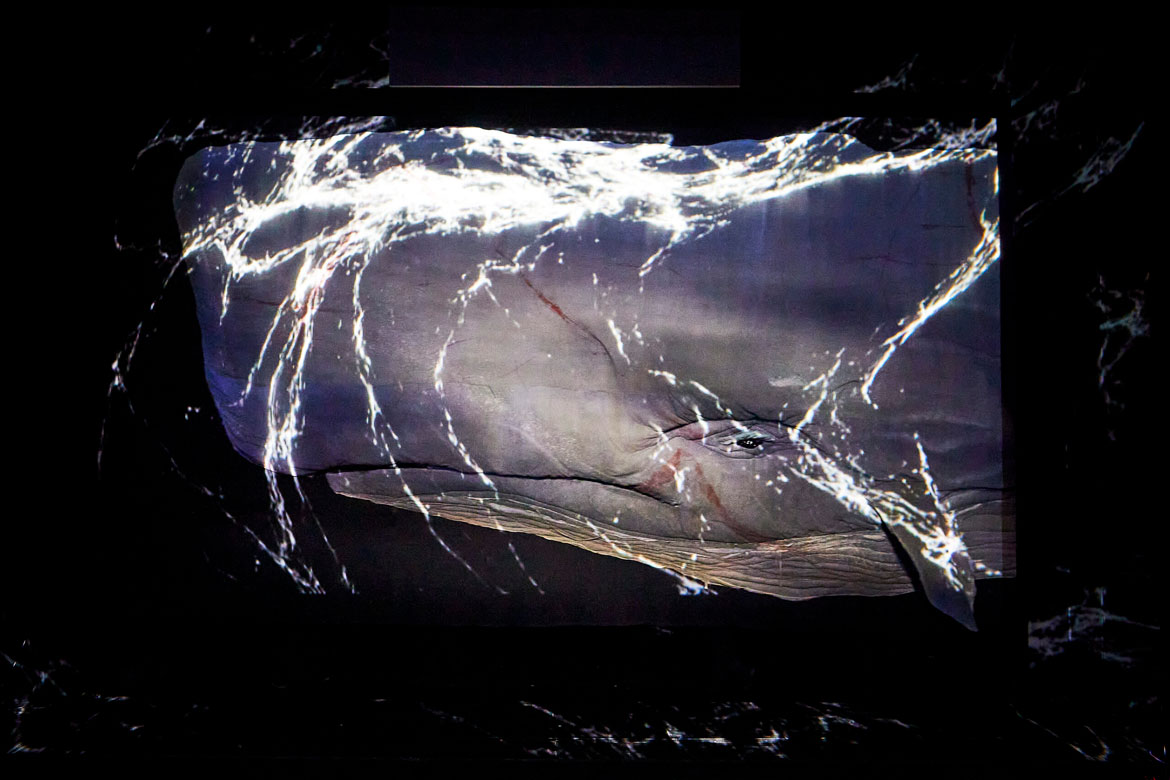 "Life-sized" Moby-Dick in "Moby Dick" by Plexus Polaire. (Photo: Christophe Raynaud de Lage)