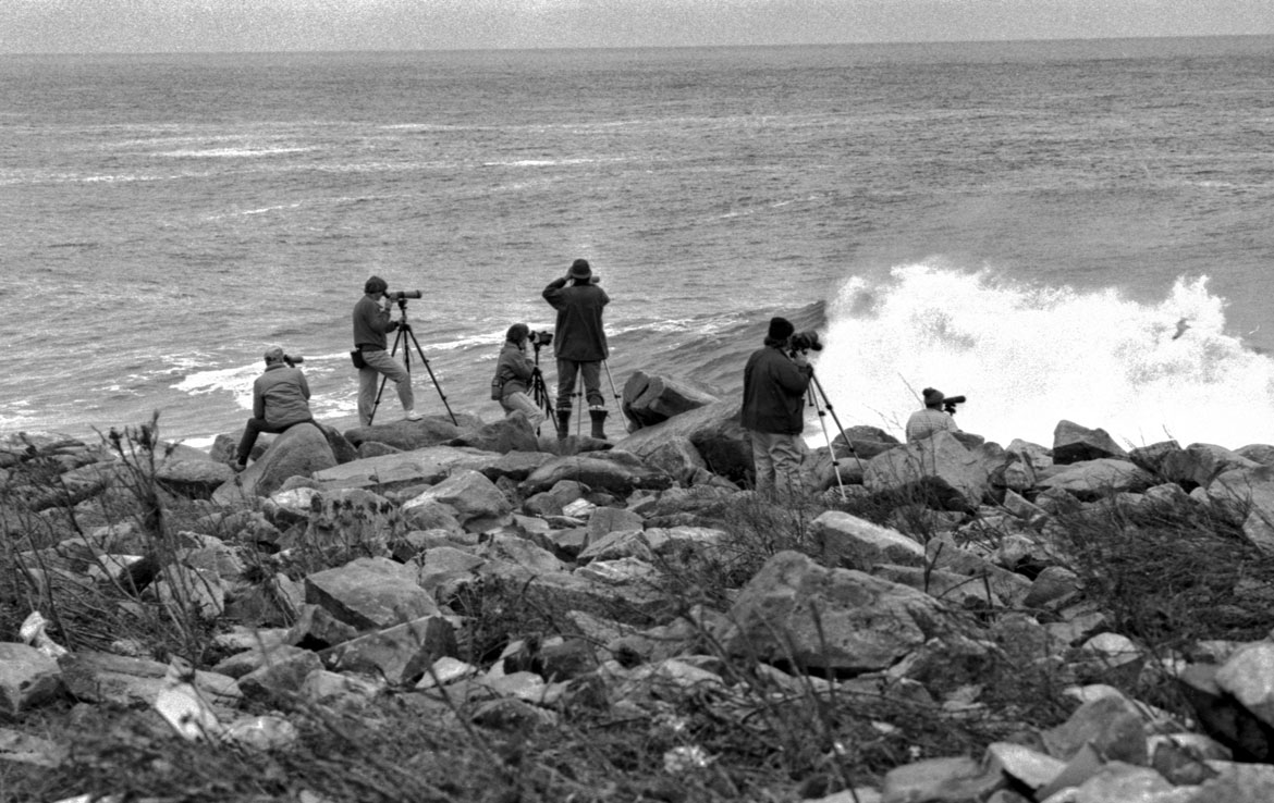 “'On the watch': A group of bird watchers line the rocks off Point de Chene at Andrews Point." Published Wednesday, November 6, 1991. Photograph by Cristin Gisler. In "Above the Fold" at the Cape Ann Museum, 2023.