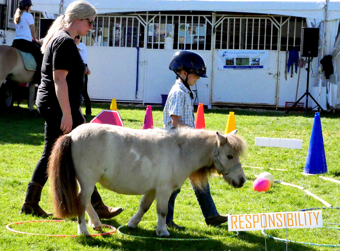 Essex County Farmyard. Topsfield Fair, Oct. 6, 2025. (©Greg Cook photo)
