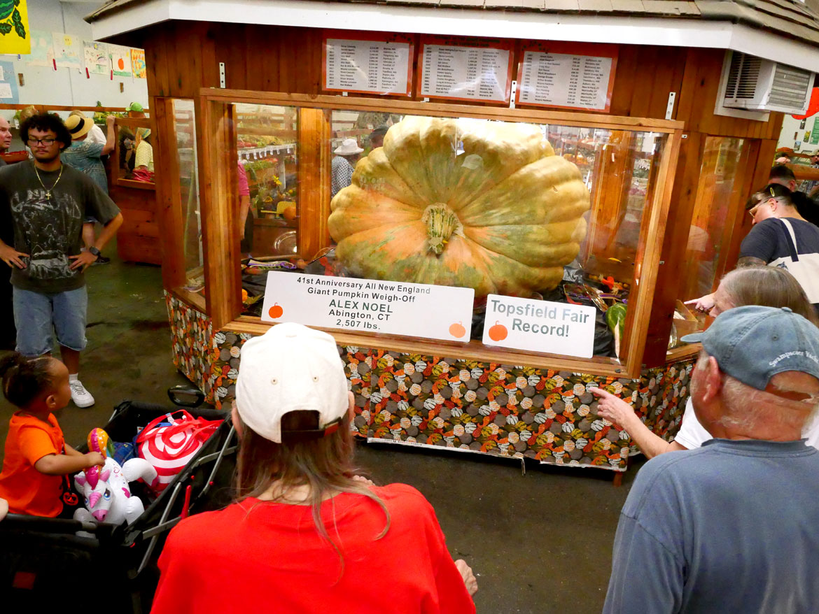 Alex Noel's fair-record 2,507-pound giant pumpkin in the Fruits & Vegetables Barn. Topsfield Fair, Oct. 6, 2025. (©Greg Cook photo)