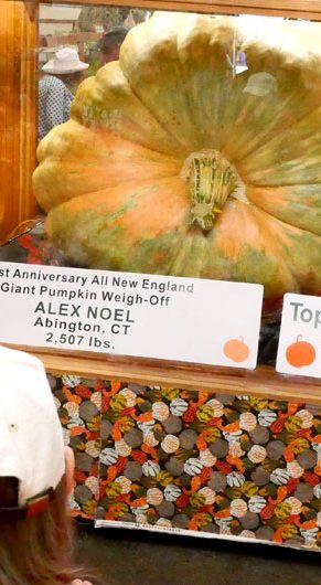 Alex Noel's fair-record 2,507-pound giant pumpkin in the Fruits & Vegetables Barn. Topsfield Fair, Oct. 6, 2025. (©Greg Cook photo)
