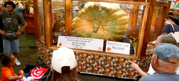 Alex Noel's fair-record 2,507-pound giant pumpkin in the Fruits & Vegetables Barn. Topsfield Fair, Oct. 6, 2025. (©Greg Cook photo)