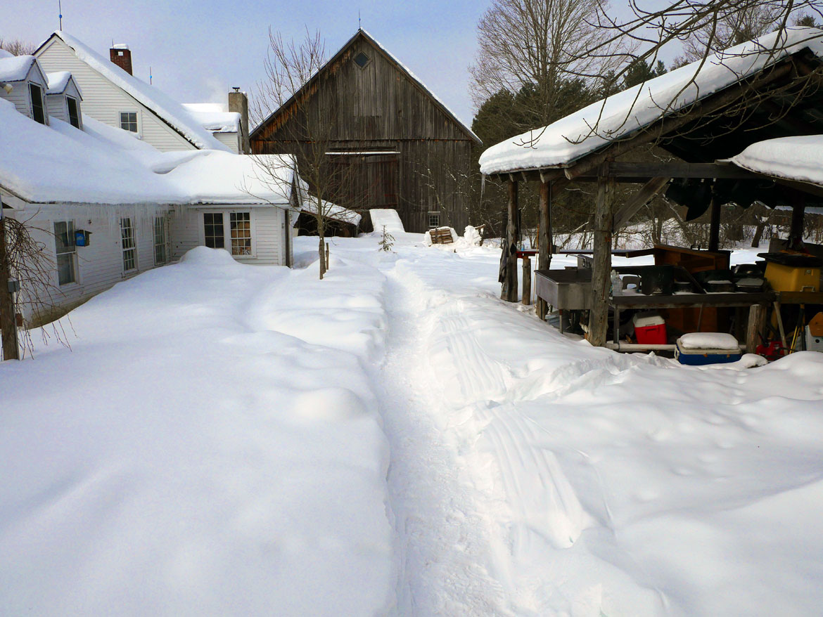 Puppeteers' House, Museum barn and outdoor kitchen in Backyard of Bread and Puppet Theater, Glover, Vermont, Feb. 8, 2026. (©Greg Cook photo)