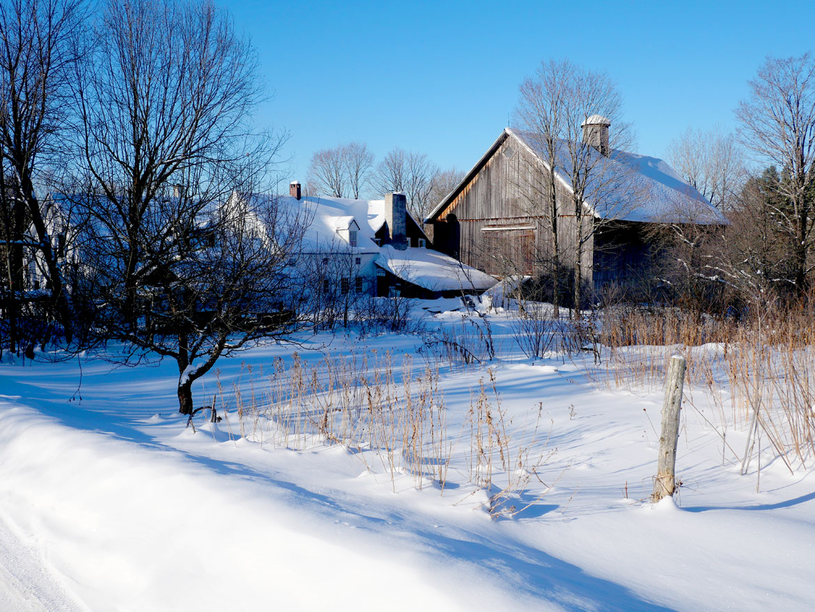 Bread and Puppet Theater's garden, Museum barn and Puppeteers' House, Glover, Vermont, Feb. 9, 2026. (©Greg Cook photo)