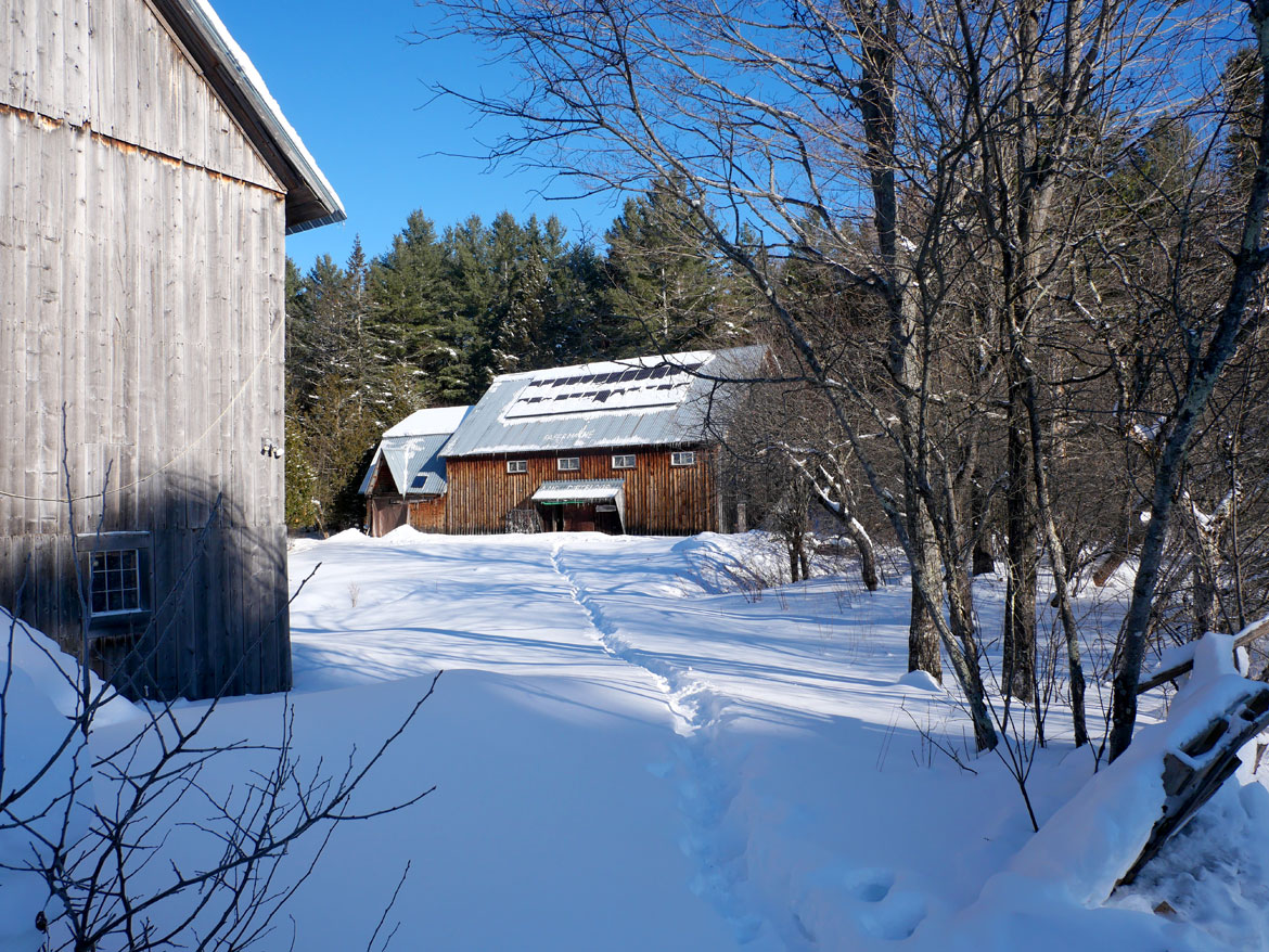 Footpath to Paper-Maché Cathedral theater barn at Bread and Puppet Theater, Glover, Vermont, Feb. 9, 2026. (©Greg Cook photo)