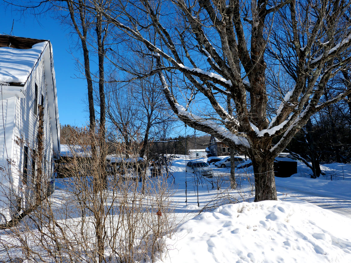 Tree swing outside Puppeteers' House at Bread and Puppet Theater, Glover, Vermont, Feb. 9, 2026. (©Greg Cook photo)