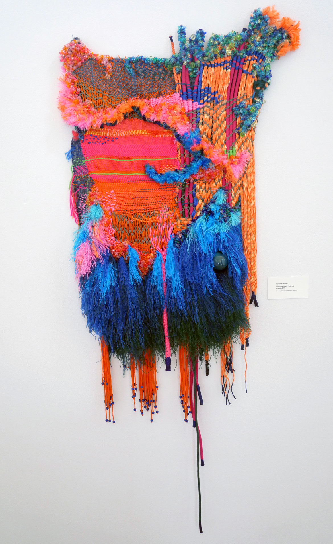 Samantha Fields, "Too much and it's still not enough," 2026.