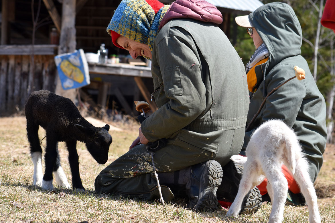 "Spring Ritual" at Bread and Puppet Theater, Glover, Vermont, April 11, 2026. (©Greg Cook photo)
