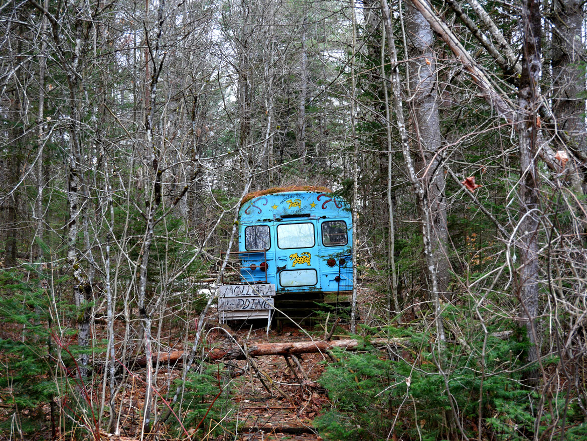 Bus-lodging along Circus Road at Bread and Puppet Theater, Glover, Vermont, April 11, 2026. (©Greg Cook photo)