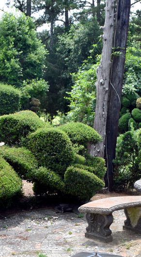 Pearl Fryar’s Topiary Garden at Bishopville, South Carolina, June 20, 2019. (©Greg Cook photo)