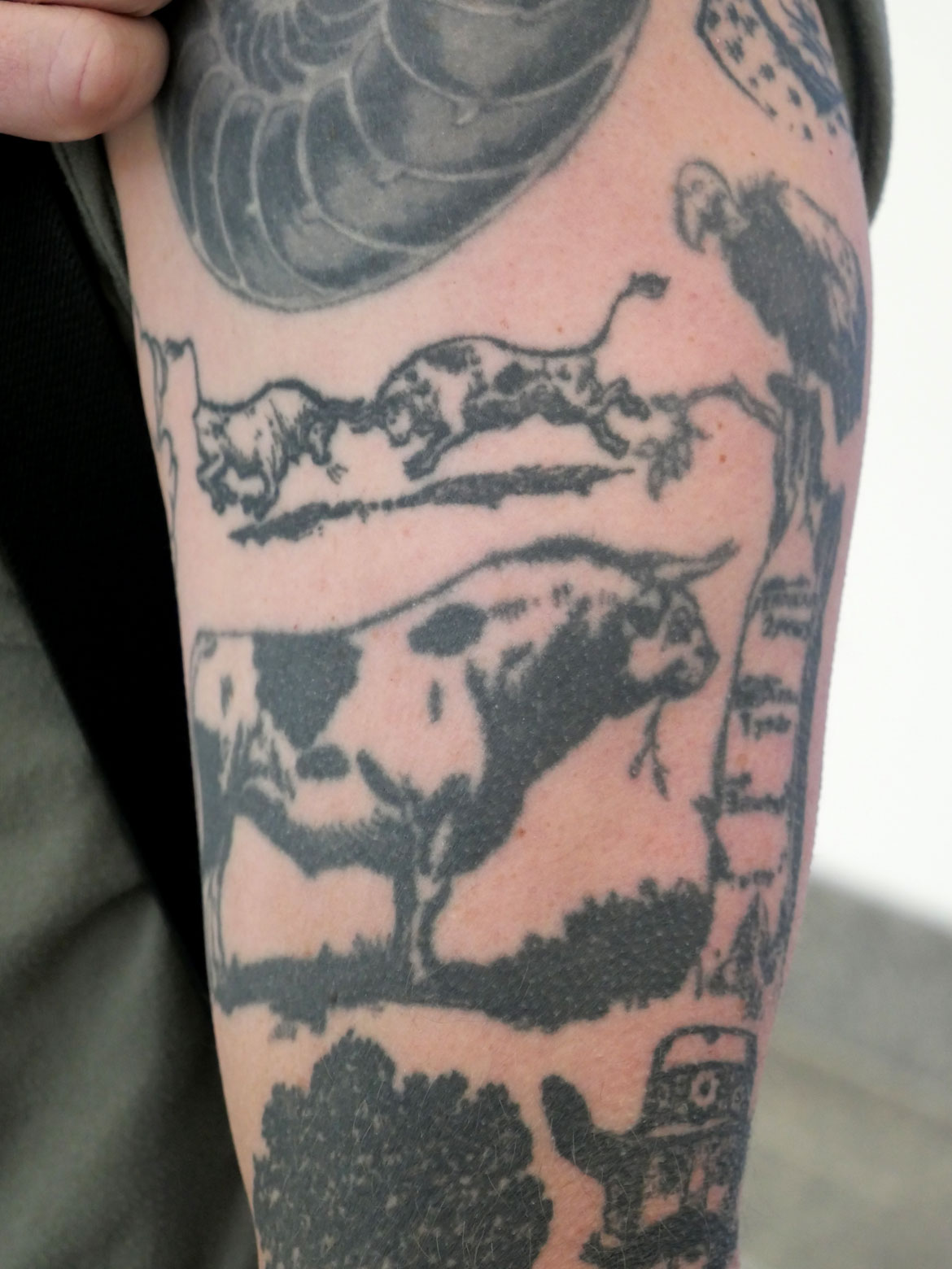 Ryan Williams's arm is tattooed with illustrations from "The Story of Ferdinand." (©Greg Cook photo)