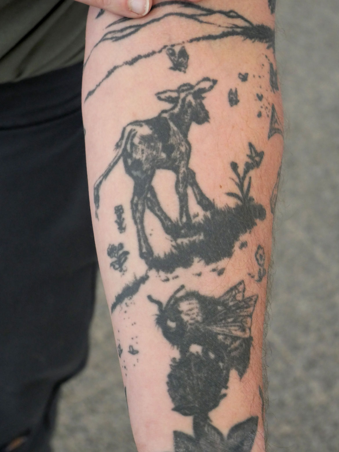 Ryan Williams's arm is tattooed with illustrations from "The Story of Ferdinand." (©Greg Cook photo)