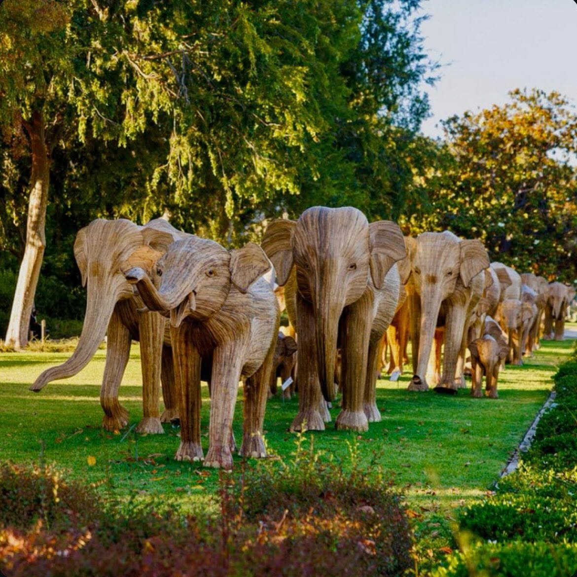 The Great Elephant Migration.