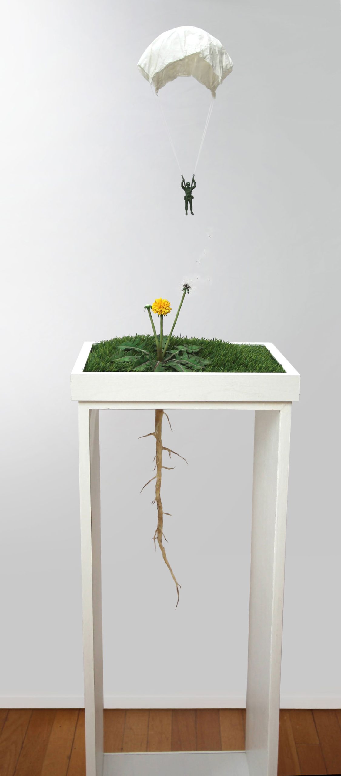 Judith Klausner, "Dispersal," 2025.
