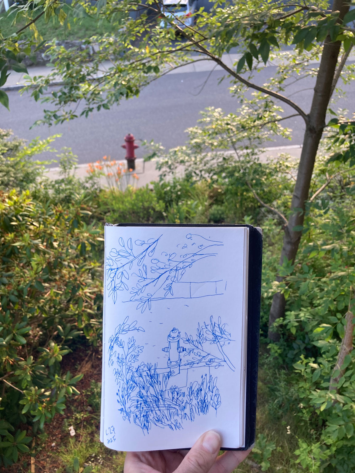 Greg Cook drawing Malden, June 27, 2025. (©Greg Cook)