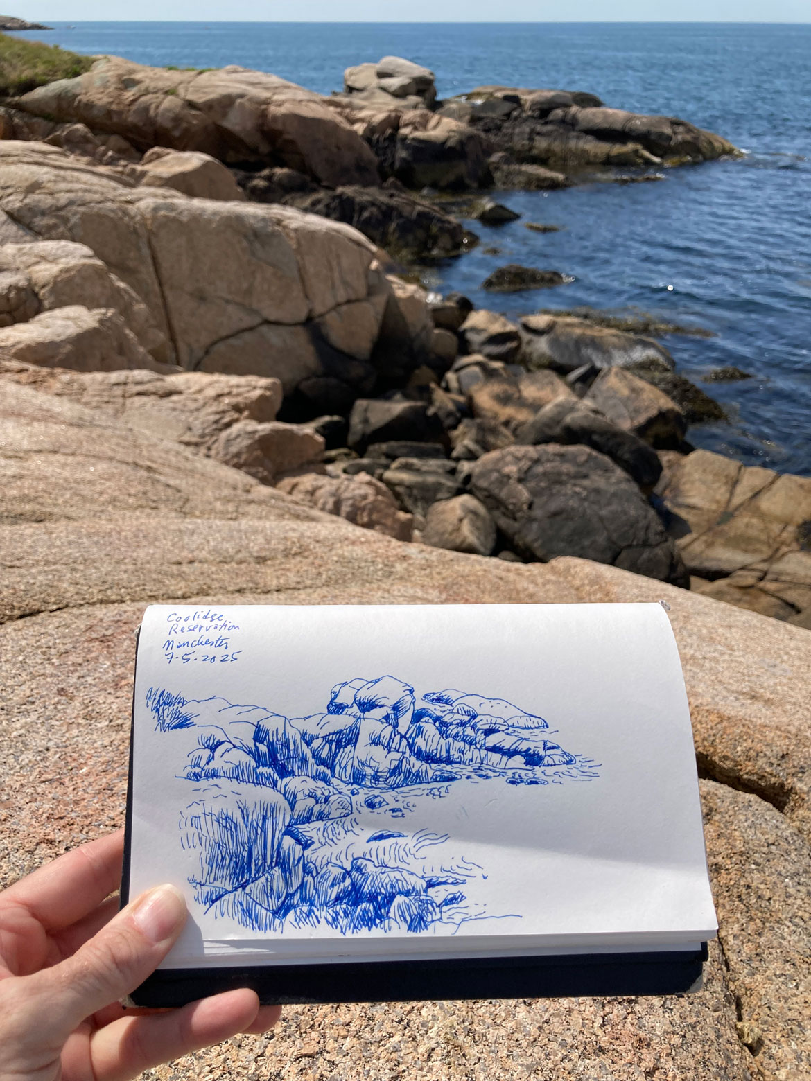Greg Cook drawing of Coolidge Reservation, Manchester, July 5, 2025. (©Greg Cook)