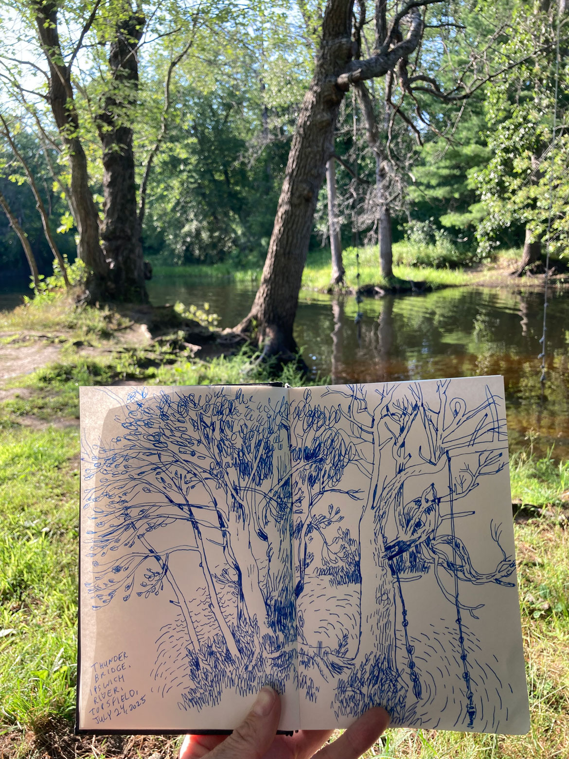 Greg Cook drawing of the Thunder Bridge, Ipswich River, Topsfield, July 24, 2025. (©Greg Cook)