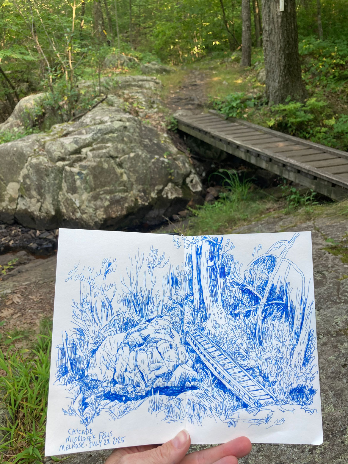 Greg Cook drawing of Shilly Shally Brook above the Cascade, Middlesex Fells, Melrose, July 28, 2025. (©Greg Cook)