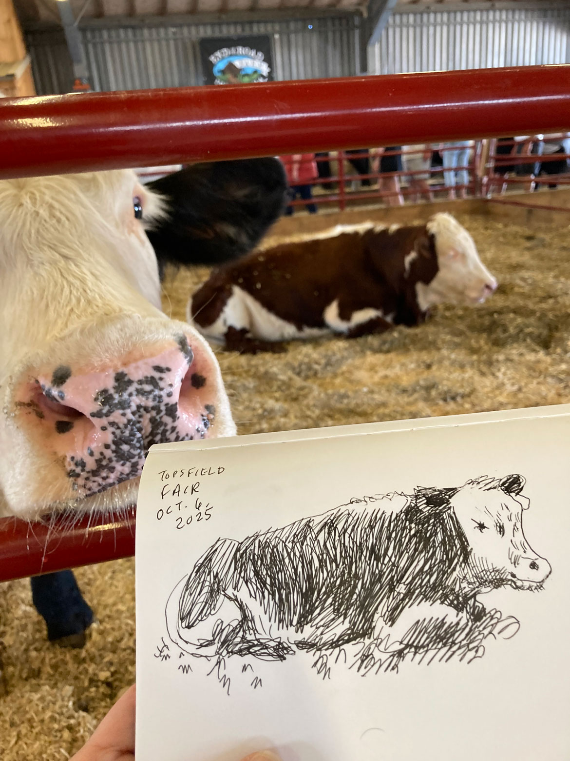 Greg Cook drawing of Topsfield Fair, Oct. 6, 2025. (©Greg Cook)