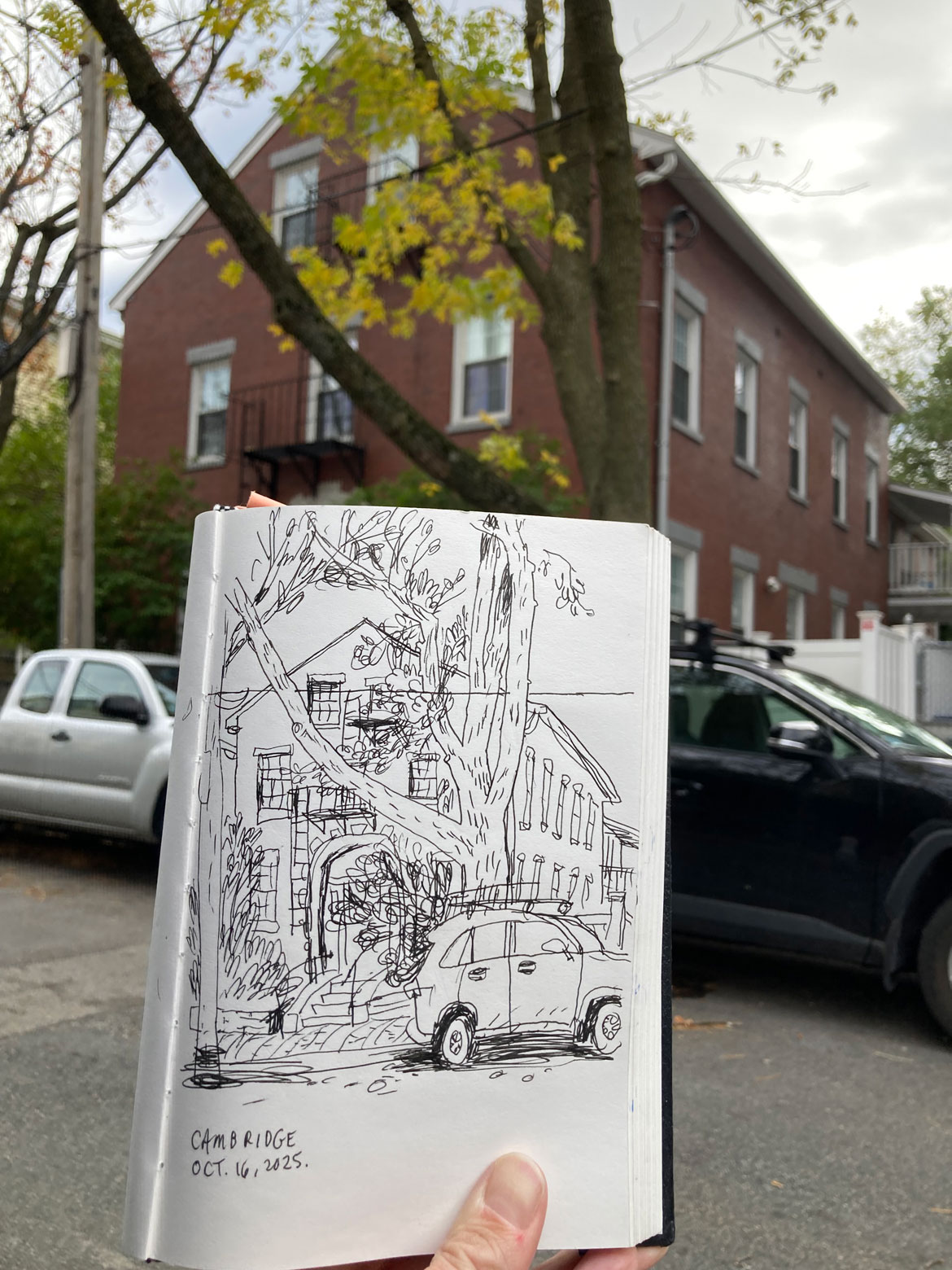 Greg Cook drawing of Cambridge, Oct 16, 2025. (©Greg Cook)