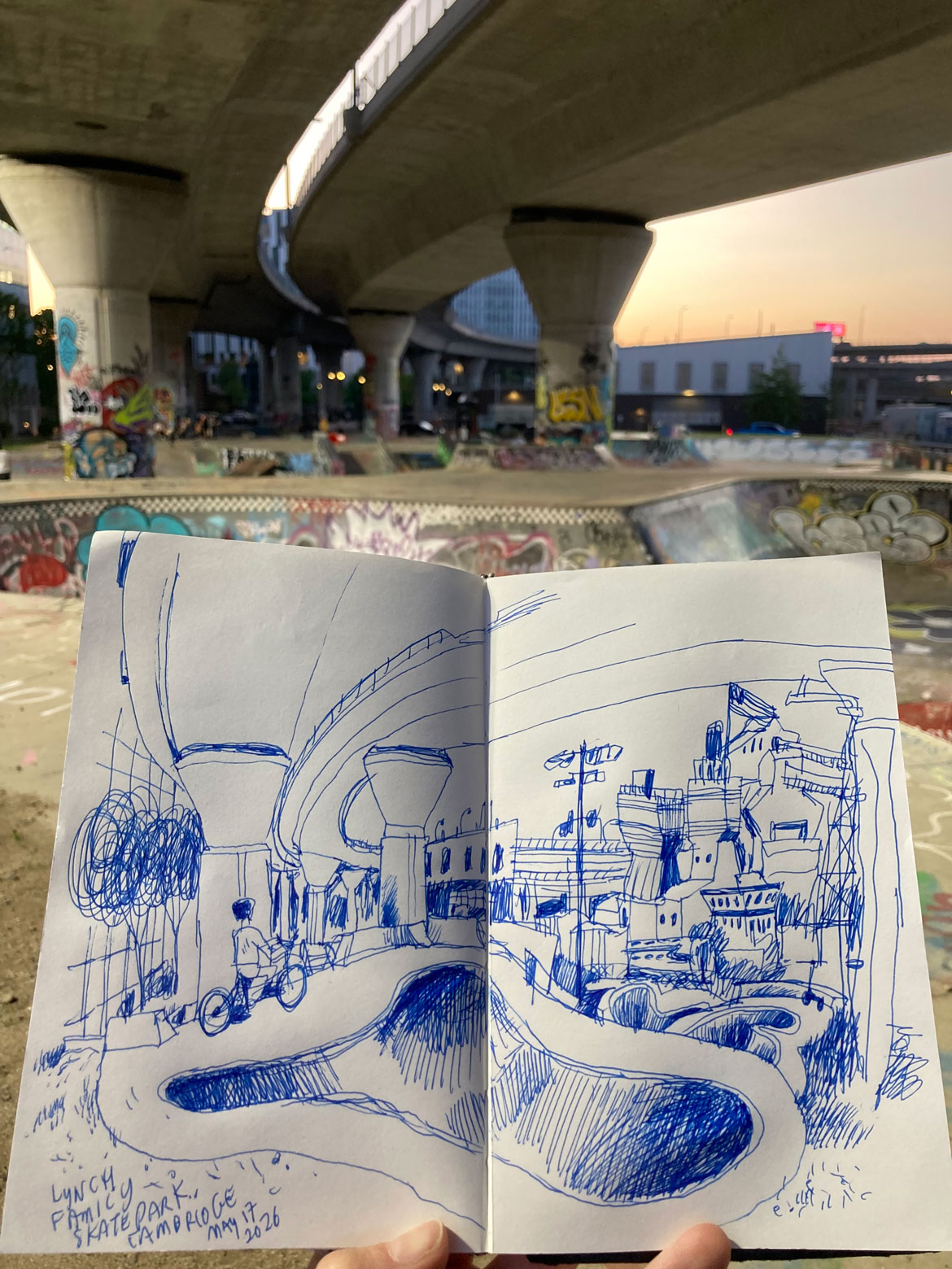Greg Cook drawing of Lynch Family Skatepark, Cambridge, May 17, 2026. (©Greg Cook)