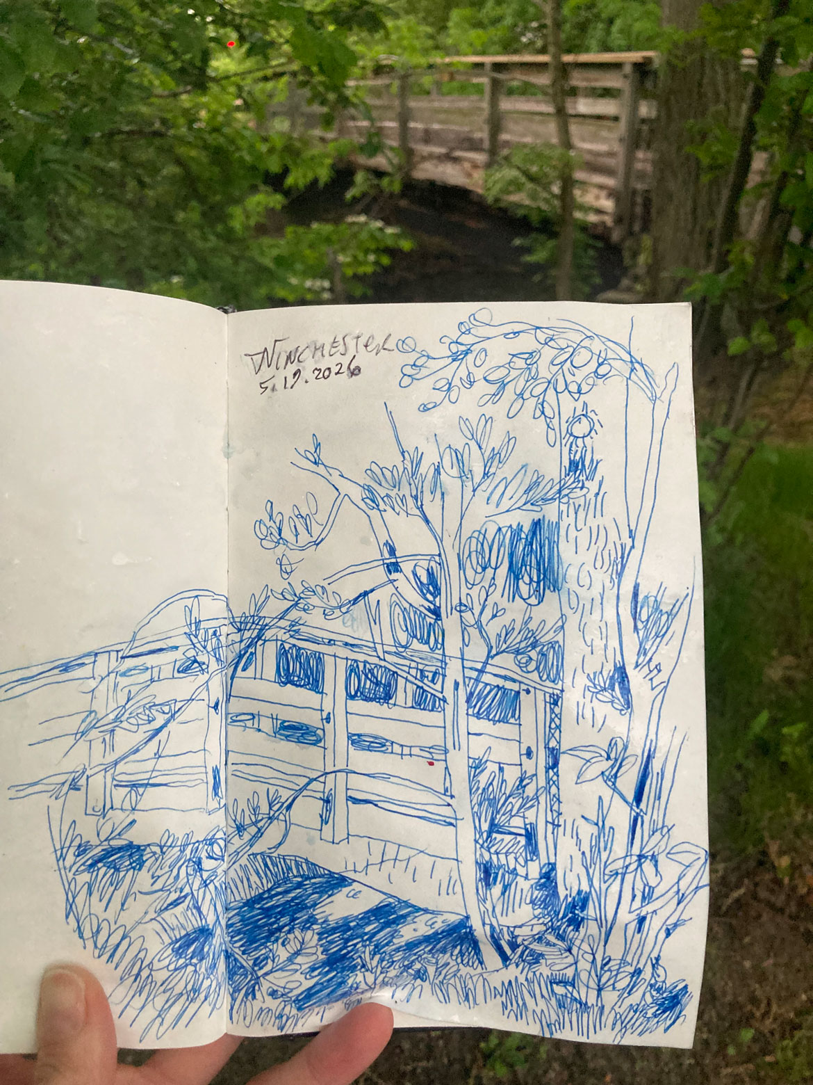 Greg Cook drawing of Winchester, May 19, 2026. (©Greg Cook)