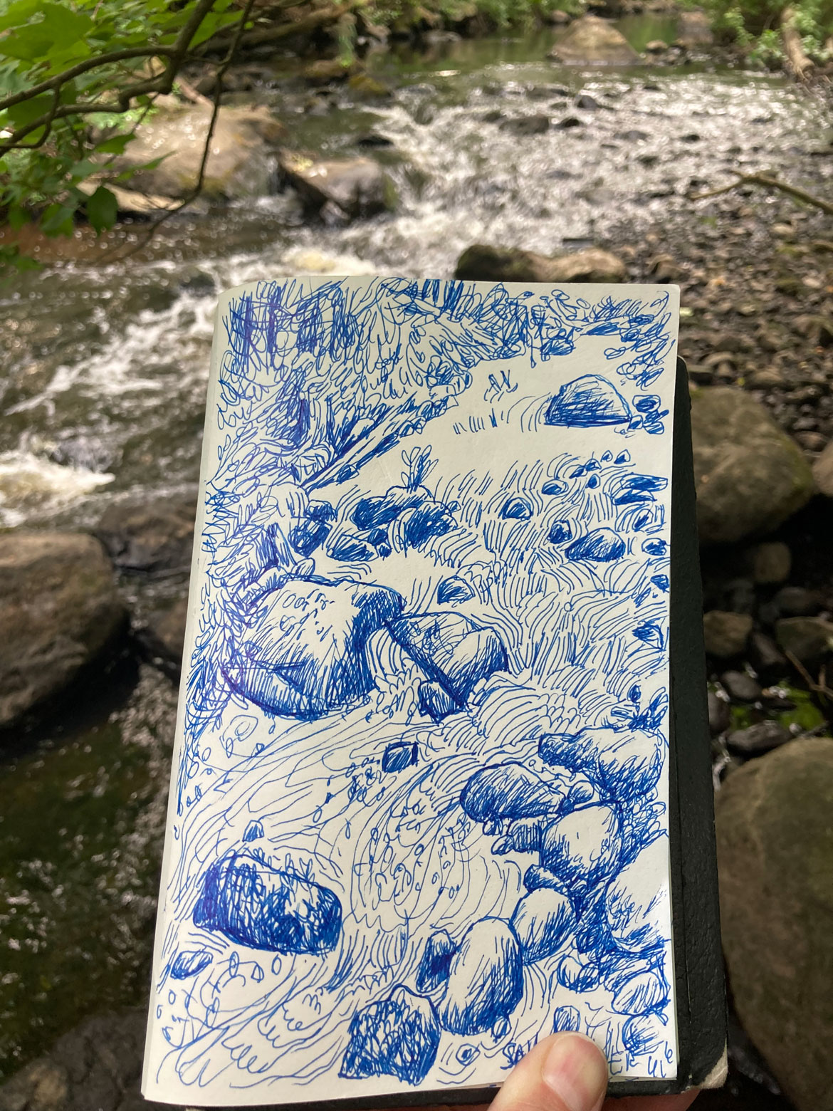 Greg Cook drawing of Saugus River, just upstream of Iron Works, June 6, 2026. (©Greg Cook)