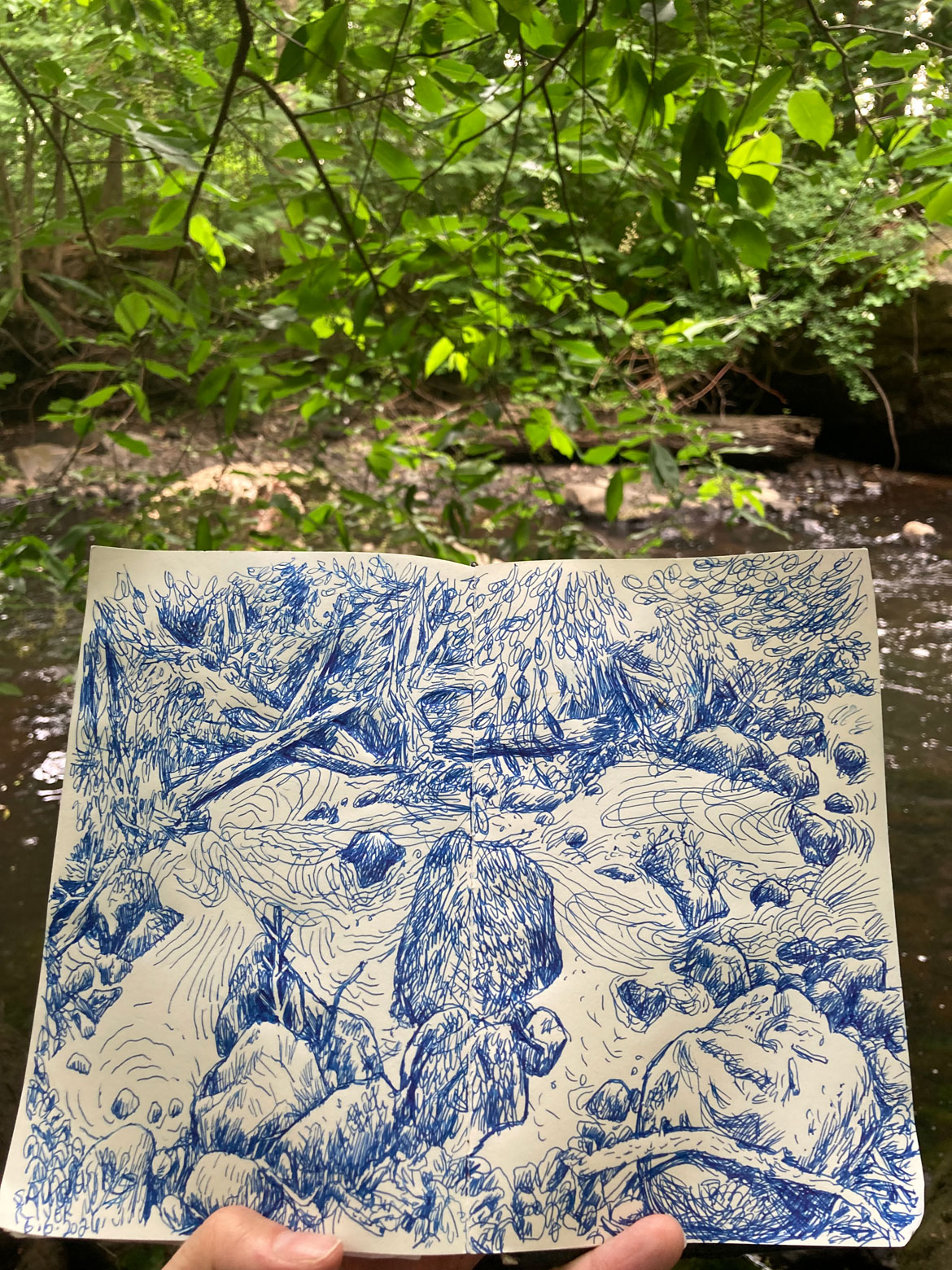 Greg Cook drawing of Saugus River, just upstream of Iron Works, June 6, 2026. (©Greg Cook)