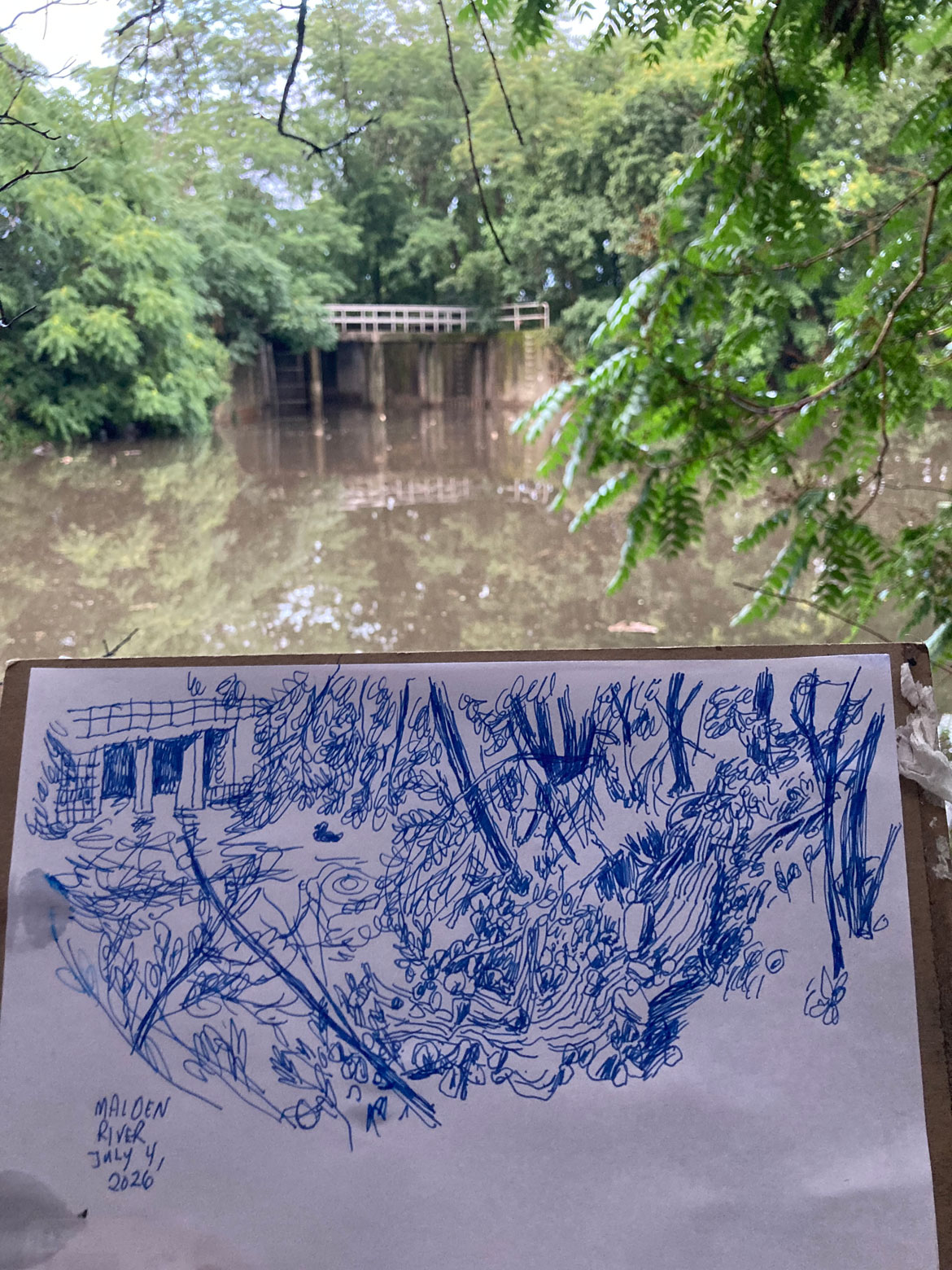 Greg Cook drawing of Malden River, July 4, 2026. (©Greg Cook)