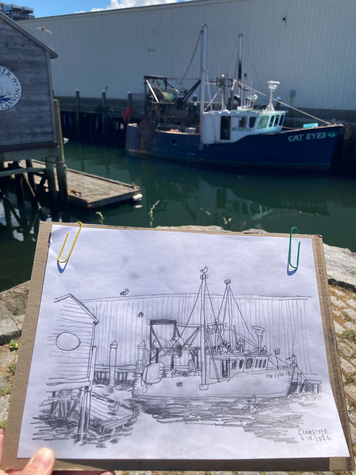 Greg Cook drawing of Cat Eyes, Gloucester, June 15, 2026. (©Greg Cook)