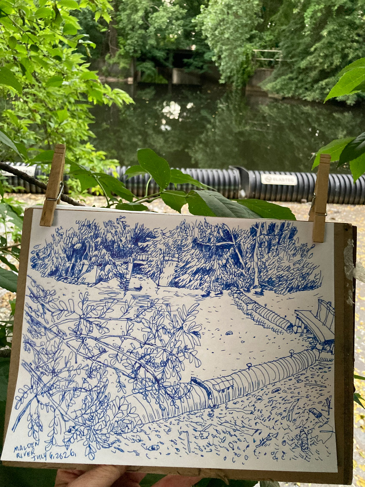 Greg Cook drawing of Malden River, July 6, 2026. (©Greg Cook)