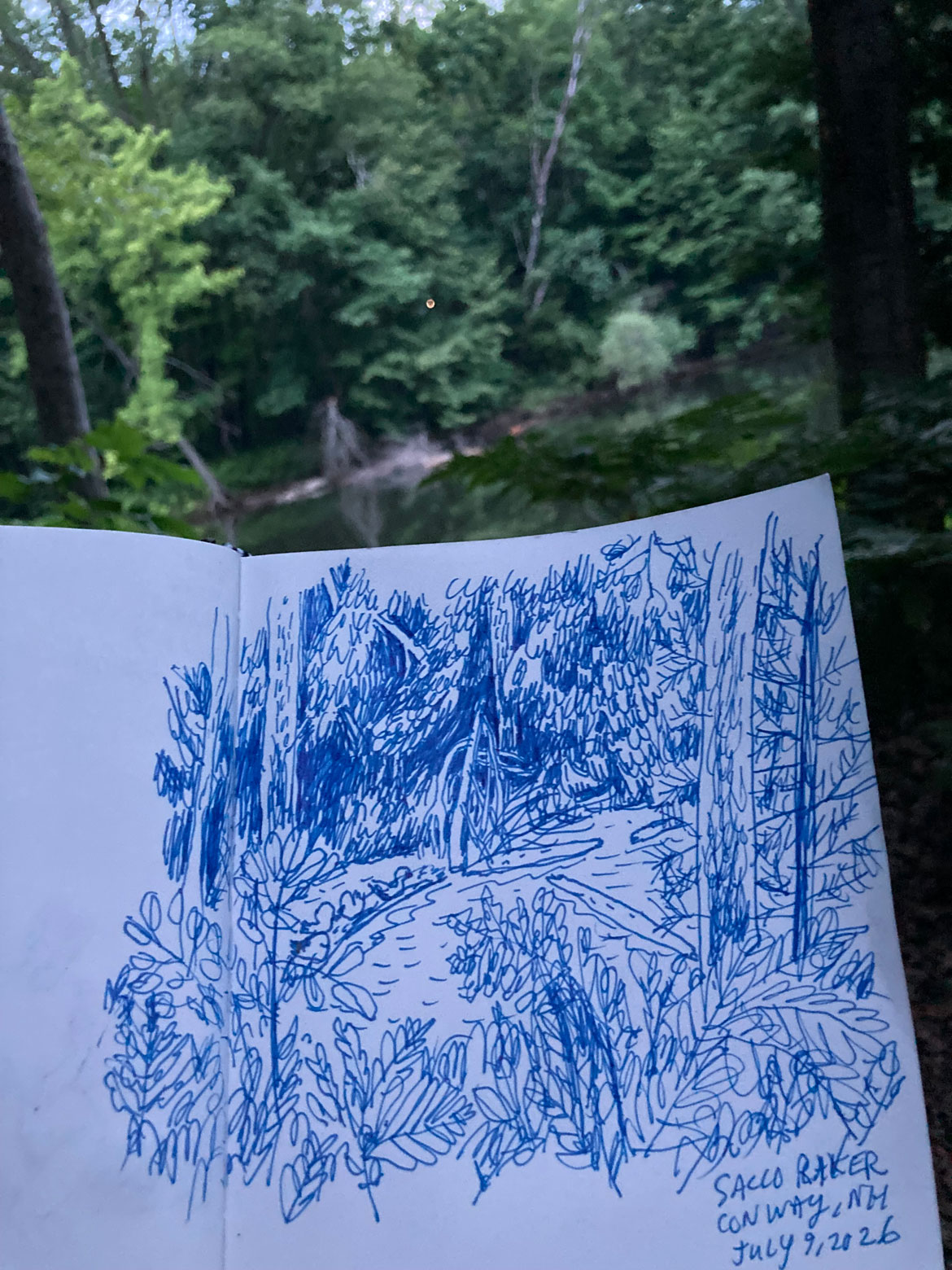 Greg Cook drawing of Saco River campground pond, Conway, New Hampshire, July 9, 2026. (©Greg Cook)