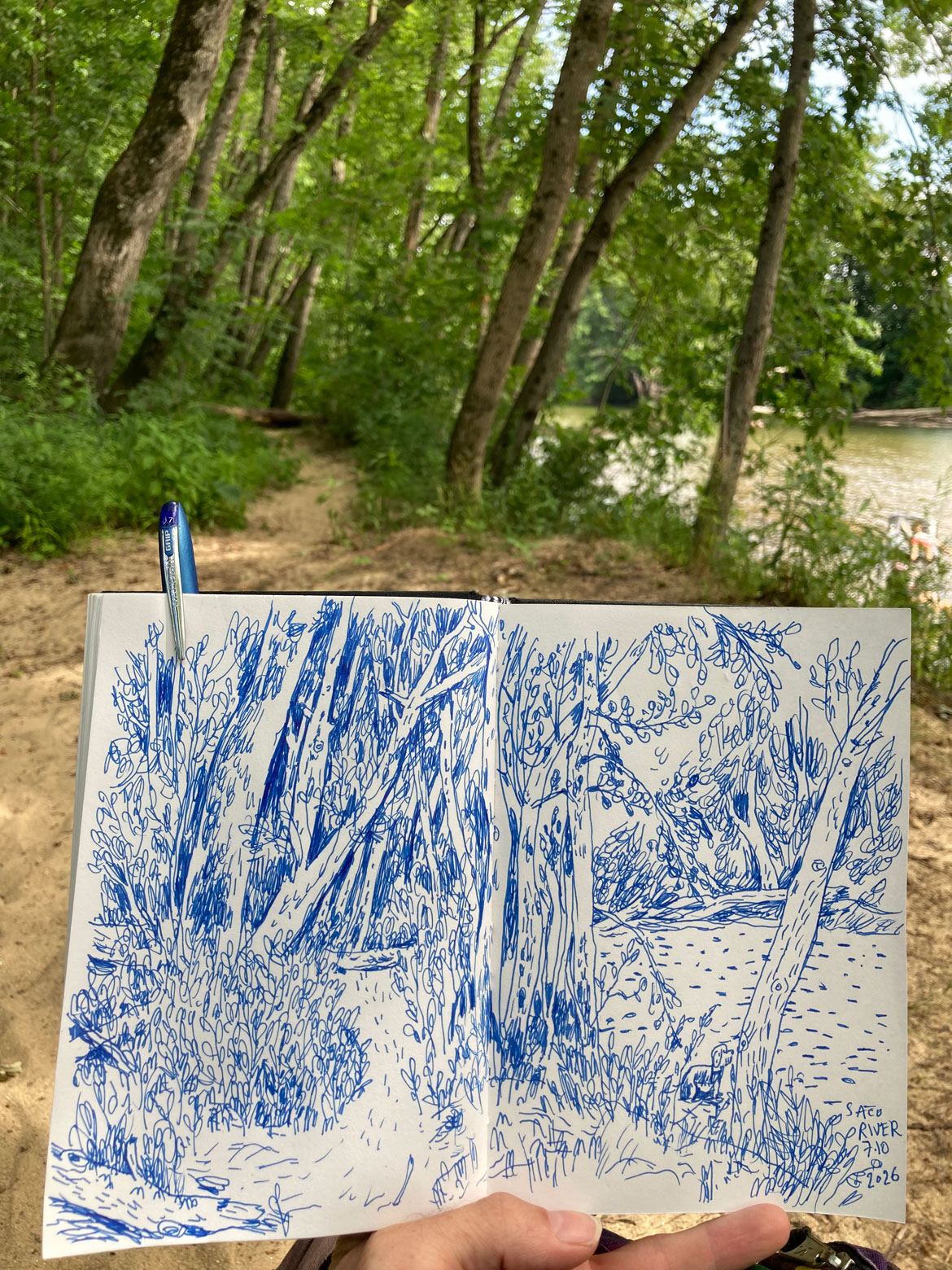 Greg Cook drawing of Saco River with dog, Conway, New Hampshire, July 10, 2026. (©Greg Cook)