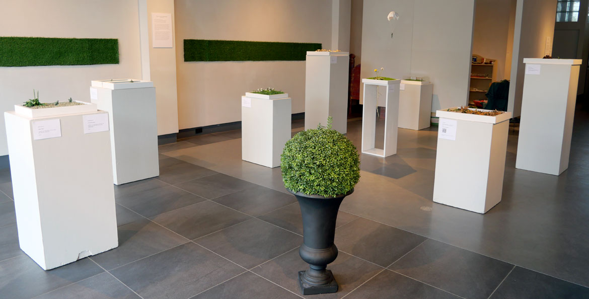 Judith Klausner’s exhibition “There Goes The Neighborhood” at A.P.E. Ltd., Northampton, 2026. (Greg Cook photo)