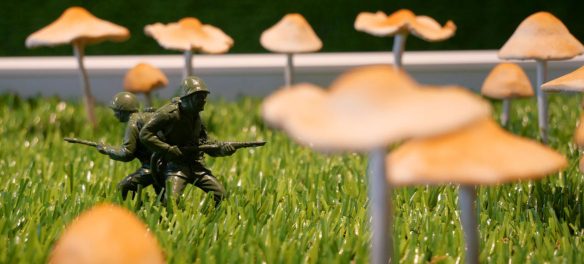 Judith Klausner, "Ringed" (detail), 2025. (Greg Cook photo)