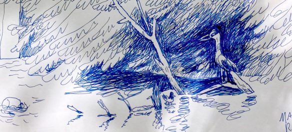 Greg Cook drawing of black-crowned night heron at Malden River, July 1, 2026. (©Greg Cook)