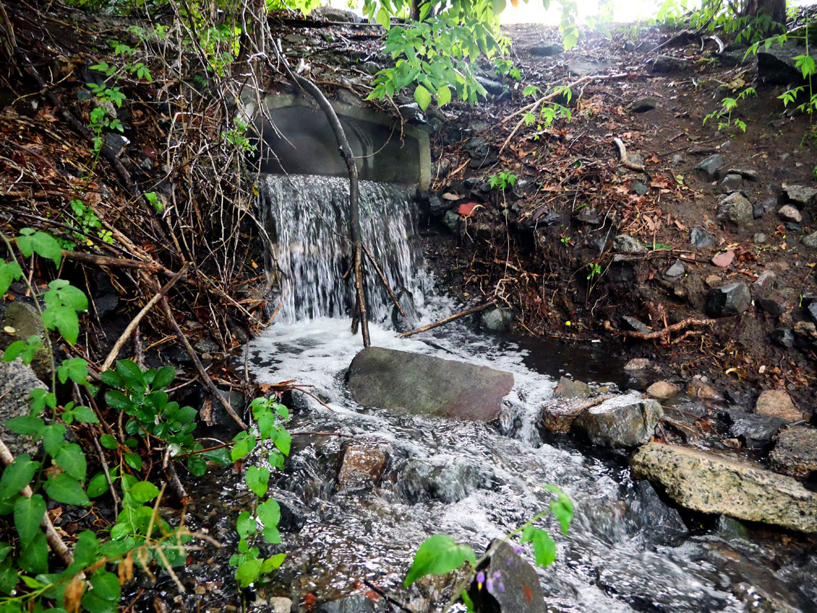 Malden River culvert during downpour, July 4, 2026. (©Greg Cook photo)
