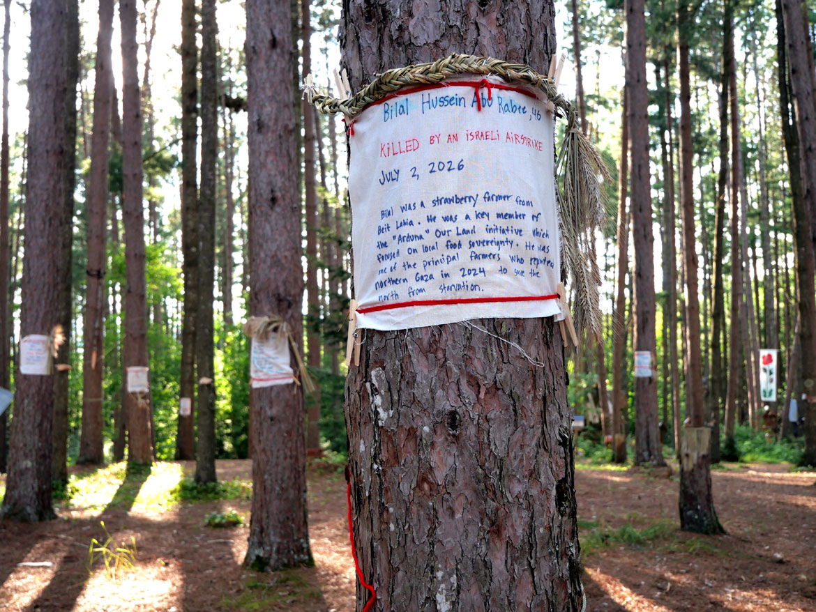 Memorials of killed Palestinians and Iranians tied to trees in the Pine Forest for Bread and Puppet Theater's "Upside Down World Resurrection Pageant," performed on their Glover, Vermont, farm, July 26, 2026. (©Greg Cook photo)